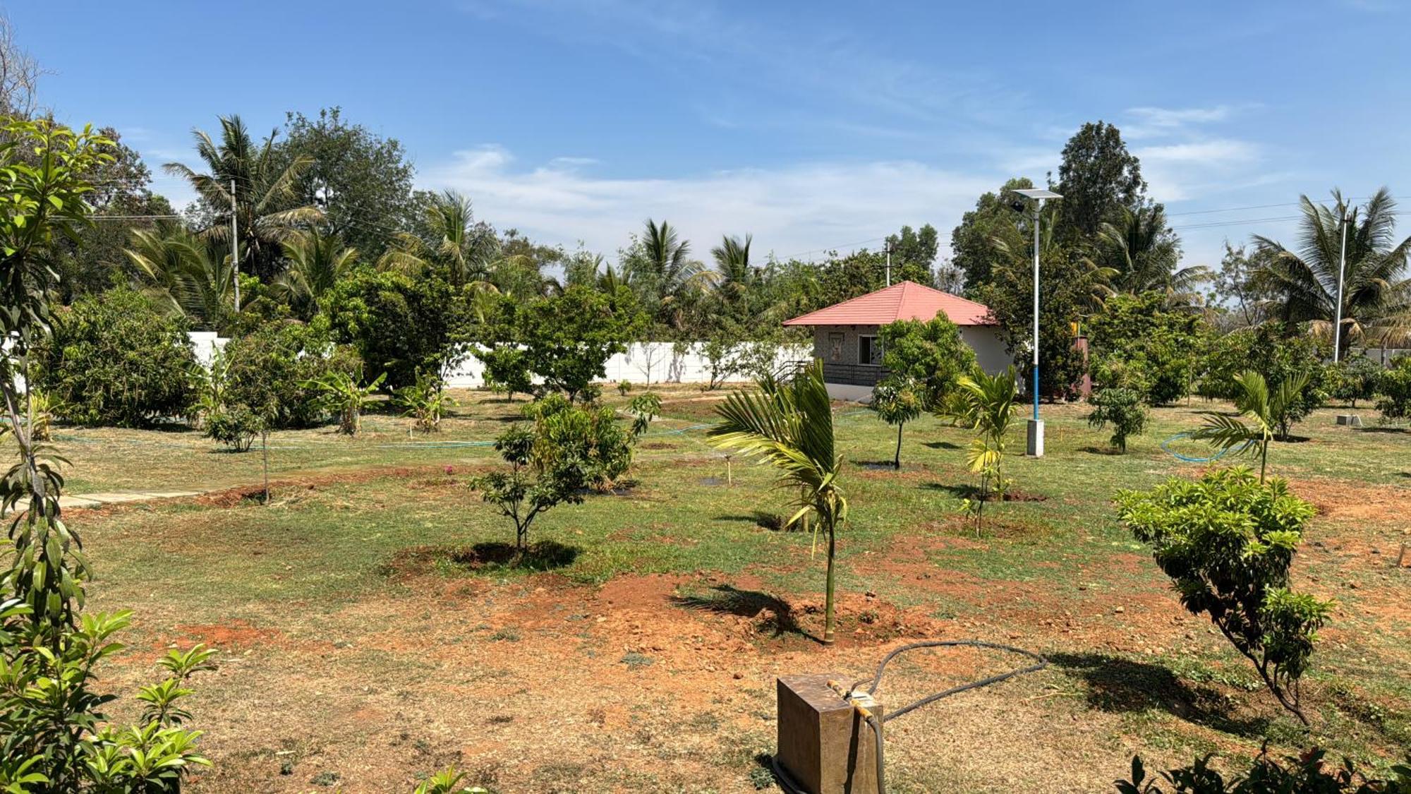 Raj Home Stay Mysore Bagian luar foto