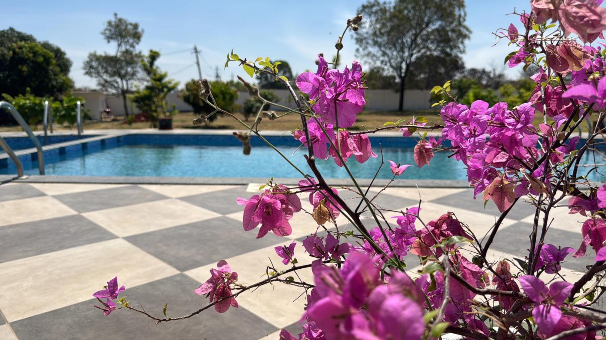 Raj Home Stay Mysore Bagian luar foto